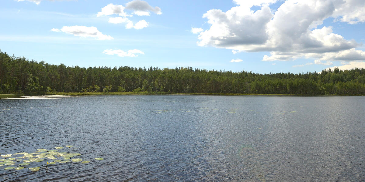 Озеро Мелководное