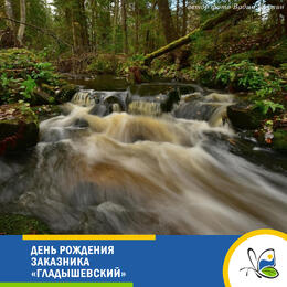 День рождения государственного природного комплексного заказника регионального значения «Гладышевский»