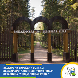 Бесплатные экскурсии Дирекции ООПТ Ленинградской области в рамках Года Команды Знаний
