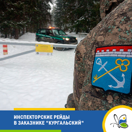 Инспекторские рейды в заказнике 