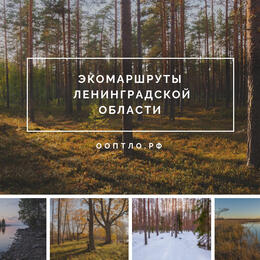 Экологические маршруты на особо охраняемых природных территориях регионального значения Ленинградской области