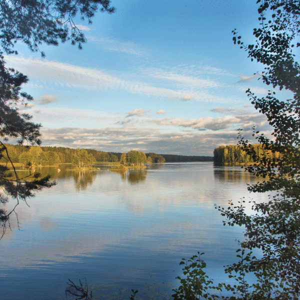 Озеро Мелководное