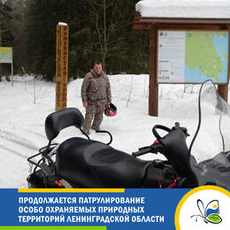 Продолжается патрулирование особо охраняемых природных территорий Ленинградской области