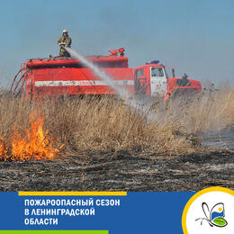 В Ленинградской области пожароопасный сезон
