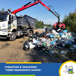 Масштабный субботник в заказнике «Север Мшинского болота».