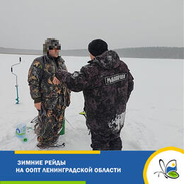 Зимние рейды на ООПТ Ленинградской области