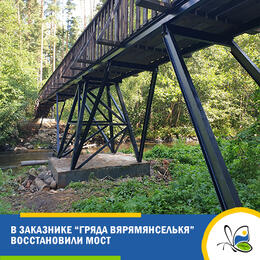 В заказнике 