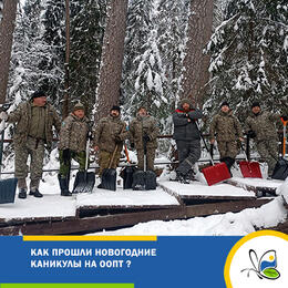 Как прошли новогодние каникулы на ООПТ ?