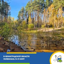 Новая ООПТ появилась в Ленинградской области
