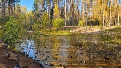 Новая ООПТ появилась в Ленинградской области