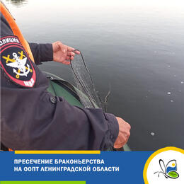 Продолжаются инспекторские рейды на ООПТ