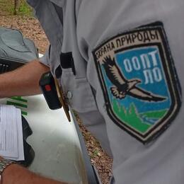Изъятие техники у нарушителей в природном парке 