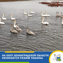 Режим тишины вновь вводится на некоторых ООПТ