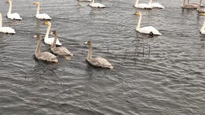 Режим тишины вновь вводится на некоторых ООПТ