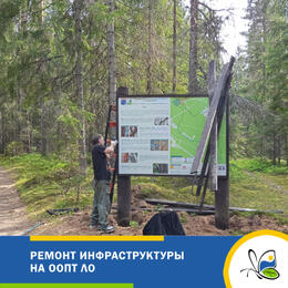 Инфраструктура ООПТ готова к летнему сезону