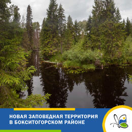 Новая заповедная территория появилась в Бокситогорском районе