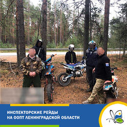 Инспекторские рейды в заказнике 