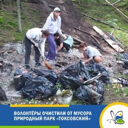 Волонтёры очистили от мусора природный парк «Токсовский»