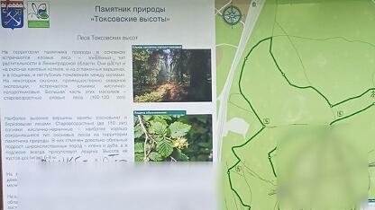Акт вандализма на Токсовских высотах