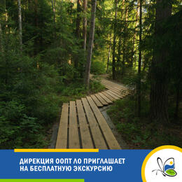 Дирекция ООПТ ЛО приглашает на бесплатную экскурсию по памятнику природы «Колтушские высоты»