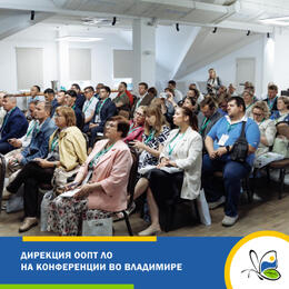 Обмен опытом с коллегами из Владимира