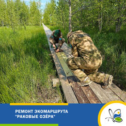 Ремонт экомаршрута 