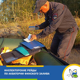 Инспекторские рейды в акватории Финского залива
