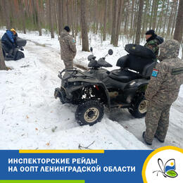 Инспекторские рейды на ООПТ Ленобласти