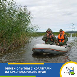 Обмен опытом с коллегами из Краснодарского края