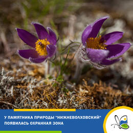 У памятника природы 