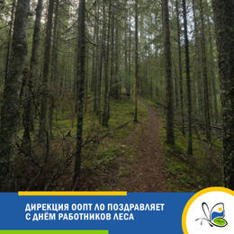 Дирекция ООПТ ЛО поздравляет с Днём работников леса!