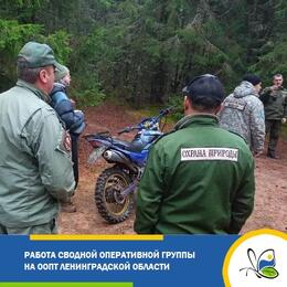 В заказнике «Ореховский» изъяли три кроссовых мотоцикла за нарушения режима ООПТ