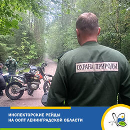 Инспекторские рейды на ООПТ Ленинградской области