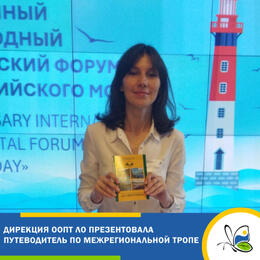 Дирекция ООПТ ЛО презентовала путеводитель по межрегиональной тропе