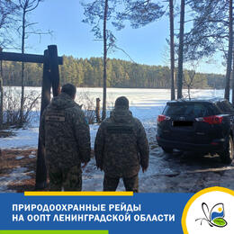 Природоохранные рейды в заказниках Ленинградской области