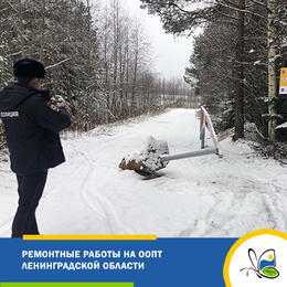 Очередной акт вандализма в заказнике 