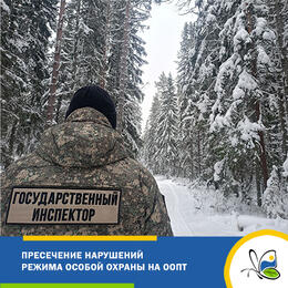 Пресечение браконьерства на ООПТ