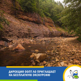 Дирекция ООПТ ЛО приглашает на бесплатную экскурсию по маршруту «Долина реки Рагуша»