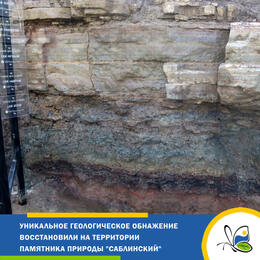 Уникальное геологическое обнажение восстановили на территории памятника природы 