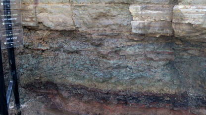 Уникальное геологическое обнажение восстановили на территории памятника природы 