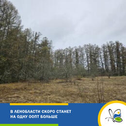 Рабочая встреча по созданию памятника природы 
