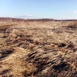 С 17 апреля объявлен пожароопасный сезон