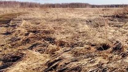 С 17 апреля объявлен пожароопасный сезон