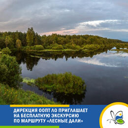 Дирекция ООПТ ЛО приглашает на бесплатную экскурсию по маршруту «Лесные дали»