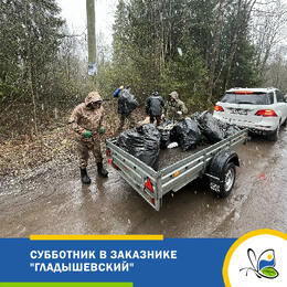 Субботник в заказнике «Гладышевский»