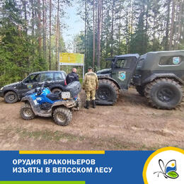 Изъятие орудий браконьеров в Вепсском лесу