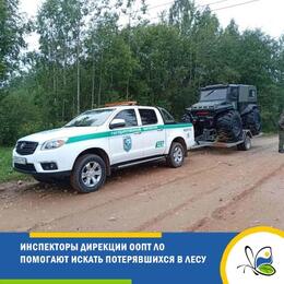 Инспекторы Дирекции ООПТ ЛО помогают искать потерявшихся в лесу