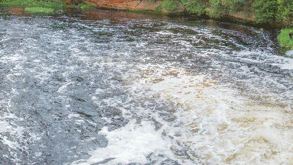 Весенне-летние тарифы на платных ООПТ Ленинградской области