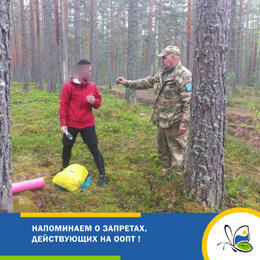 Напоминаем о запретах, действующих на ООПТ !