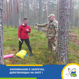 Напоминаем о запретах, действующих на ООПТ !